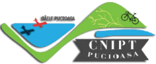 logo-cnipt2.png